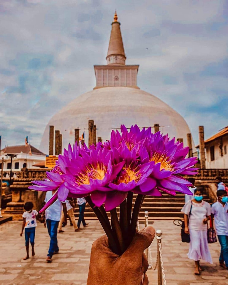 A person holding a purple bouquet